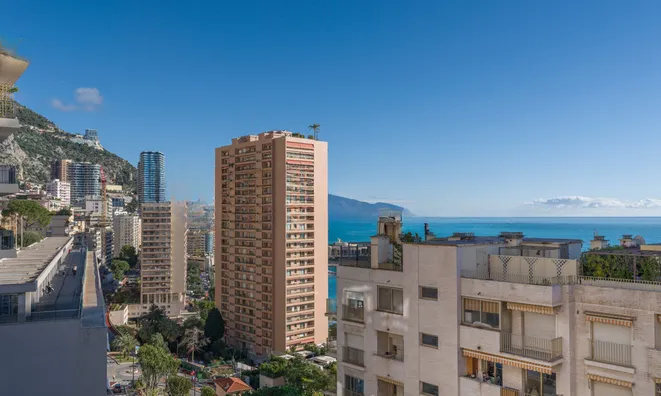 Недвижимость Apartment Monaco, Monte Carlo: 14
