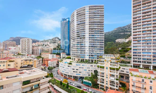 Недвижимость Apartment Monaco, La Rousse: 11