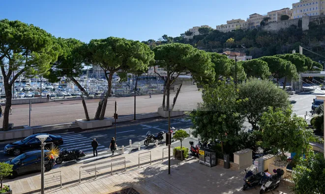 Недвижимость Apartment Monaco, Port: 13