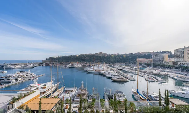 Недвижимость Apartment Monaco, Port: 11
