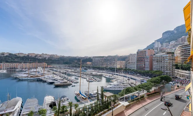 Недвижимость Apartment Monaco, Port: 12