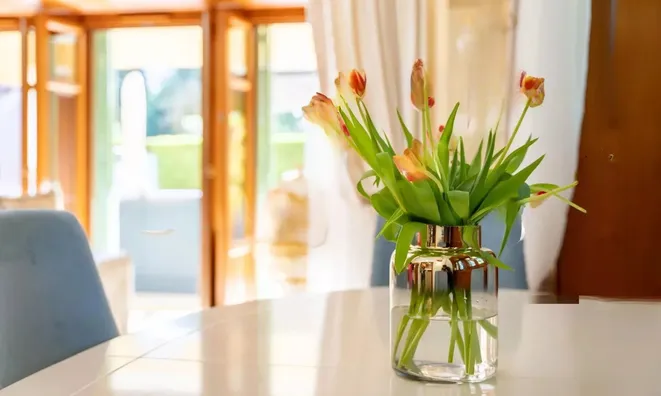 Недвижимость Apartment Cannes République: 9