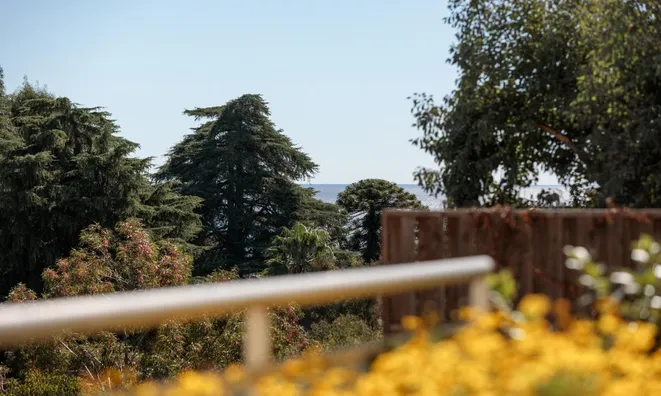 Недвижимость Apartment Cannes Croix Gardes: 2