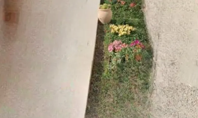 Недвижимость Duplex Cannes La Bocca: 8