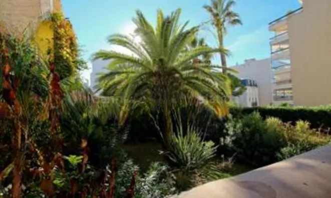 Недвижимость Apartment Pointe Croisette: 3