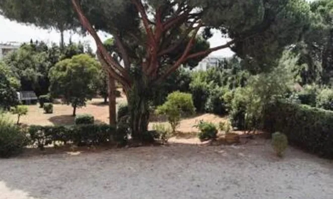 Недвижимость Apartment Cannes: 6