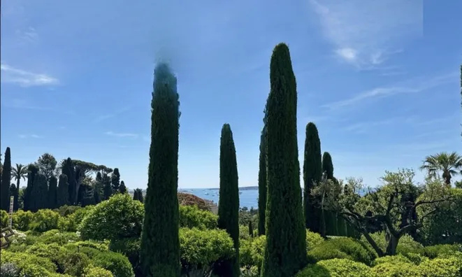 Недвижимость Apartment Cannes Croix Gardes: 16