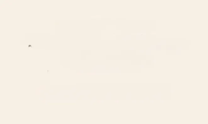 Недвижимость Apartment Cannes: 4