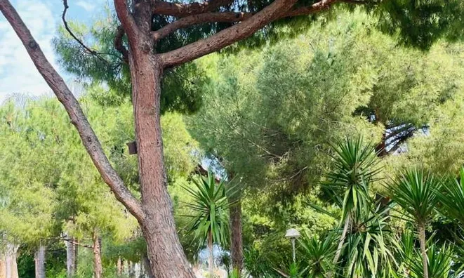 Недвижимость Apartment Suquet: 7