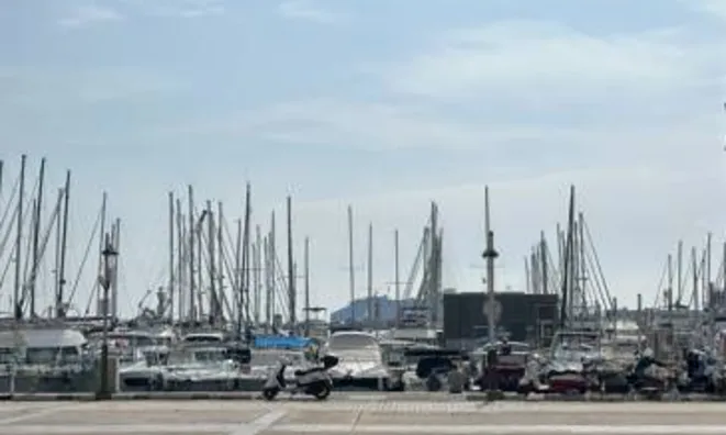 Недвижимость Apartment Cannes Suquet: 11