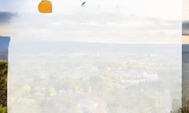 Недвижимость Apartment Cannes Californie: 10