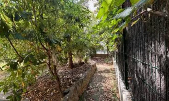 Недвижимость Villa Suquet Cannes: 3