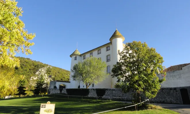 Недвижимость Villa Cannes: 13