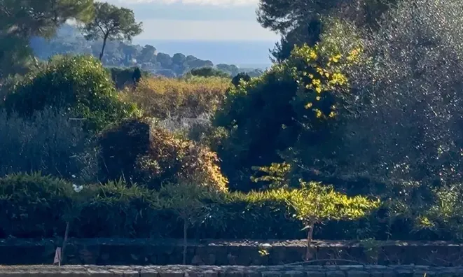 Недвижимость Villa Valmasque Mougins: 3