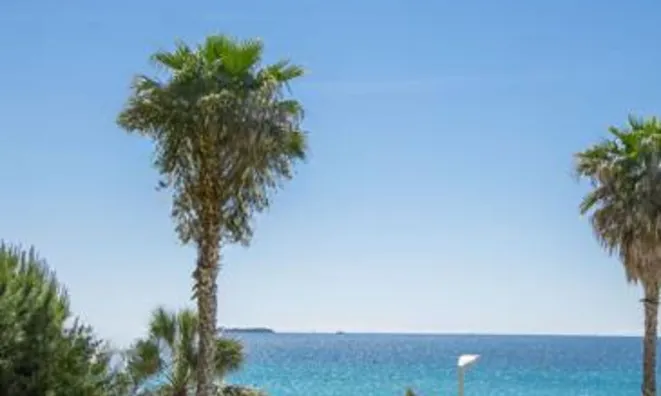 Недвижимость Villa Cannes: 7