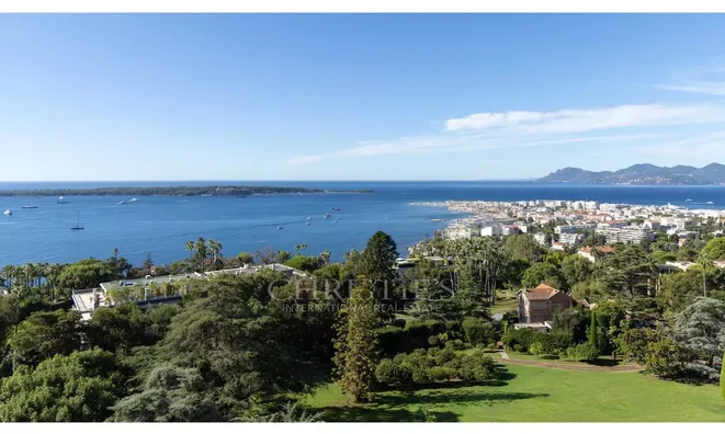 Недвижимость Villa Cannes: 14