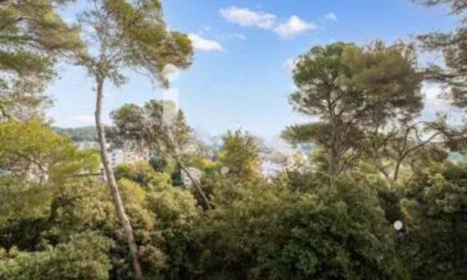 Недвижимость Villa La Bocca Nord: 5