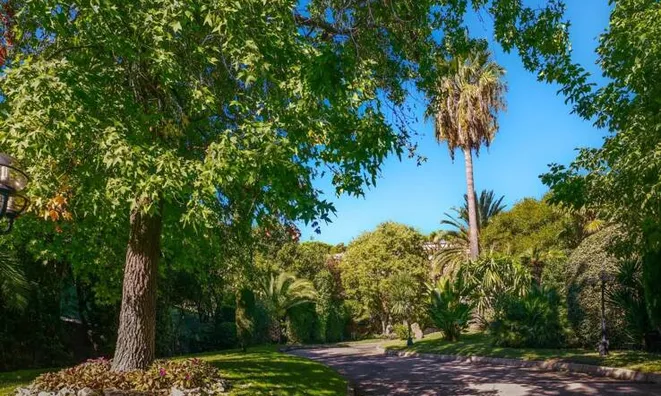 Недвижимость Villa Cannes Croix des Gardes: 10