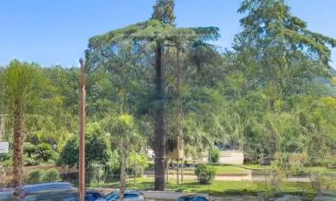 Недвижимость Villa Cannes Carnot: 8