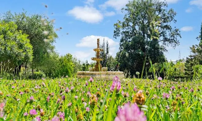 Недвижимость House Cannes Californie: 10