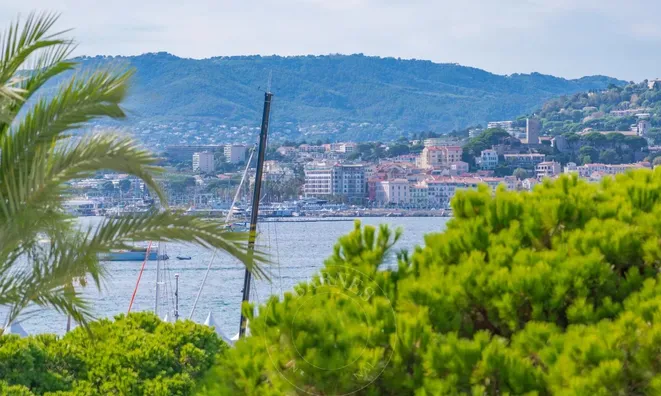 Недвижимость Estate Pointe Croisette: 7