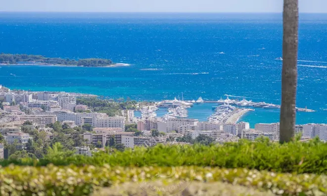 Недвижимость Estate Cannes Californie: 12