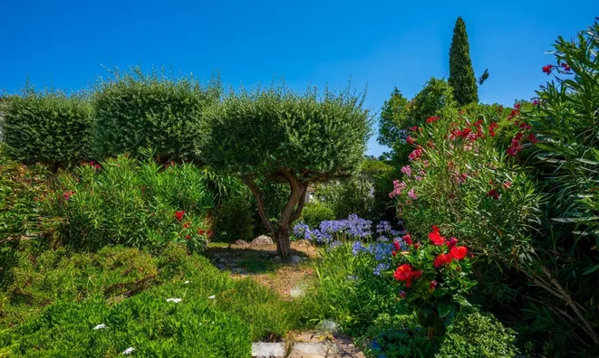 Недвижимость Villa Cannes: 18