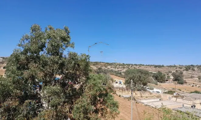 Недвижимость South Shore Haven: 22