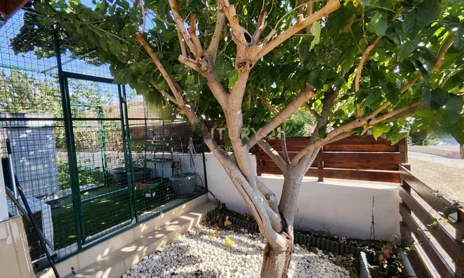 Недвижимость 2 Bedroom Bungalow For Sale In Parekklisia, Limassol: 10