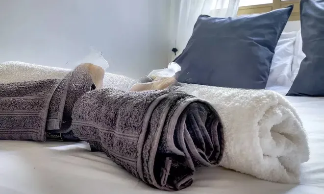 Недвижимость Apartment Cannes Centre-ville: 8