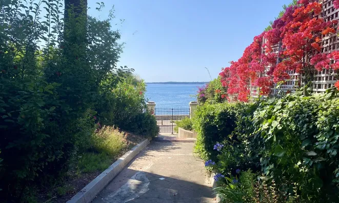 Недвижимость Villa Pointe Croisette: 15