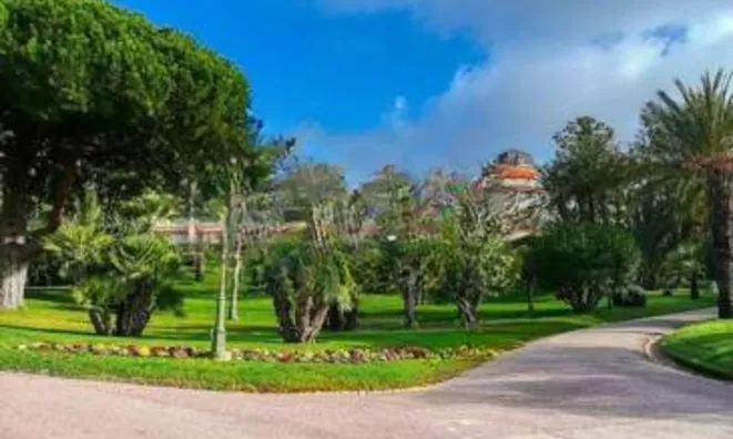 Недвижимость Villa Cannes: 15