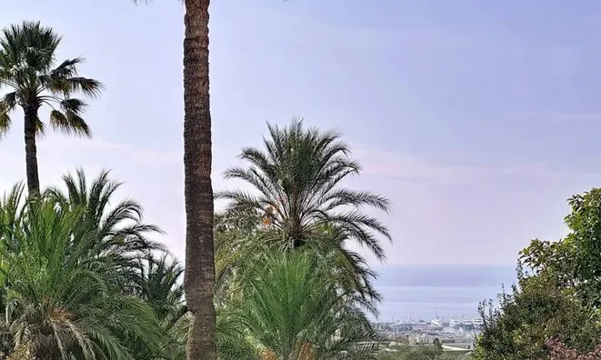 Недвижимость Villa Cannes: 16