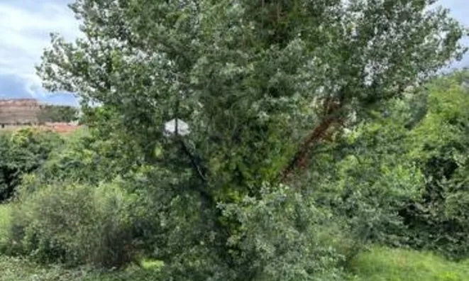 Недвижимость Villa La Bocca: 4