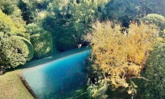 Недвижимость Villa Petit Juas: 14