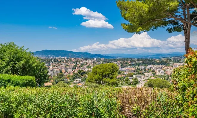 Недвижимость Villa Cannes: 17