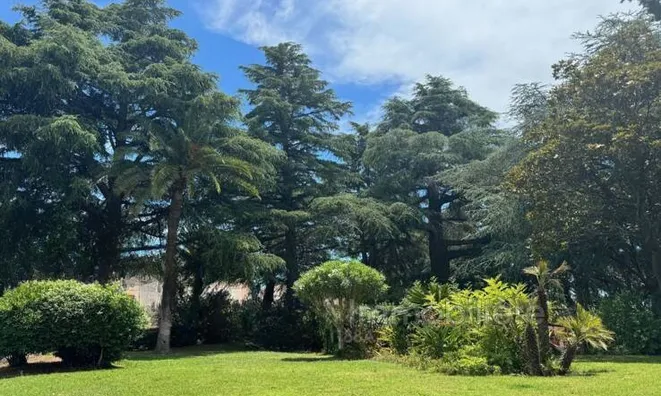 Недвижимость Villa Croix des Gardes: 13