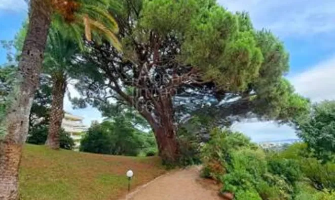 Недвижимость Villa Croix des Gardes: 14