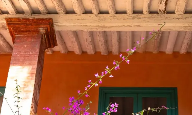 Недвижимость Villa Croix des Gardes: 5