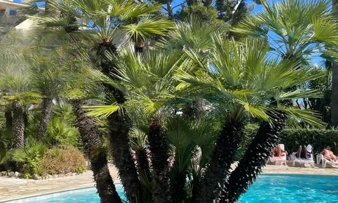 Недвижимость Villa Croix des Gardes: 4