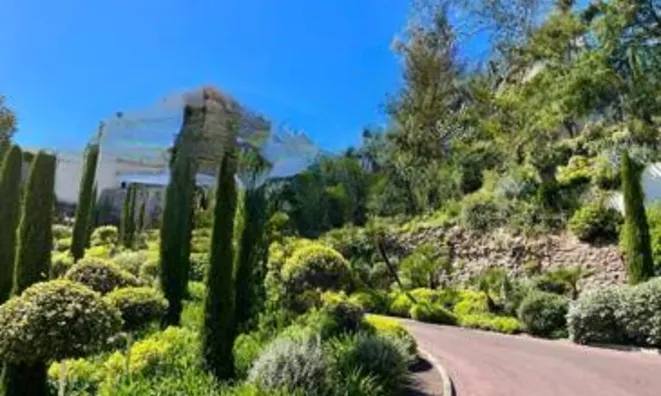 Недвижимость House Cannes Croix des Gardes: 13