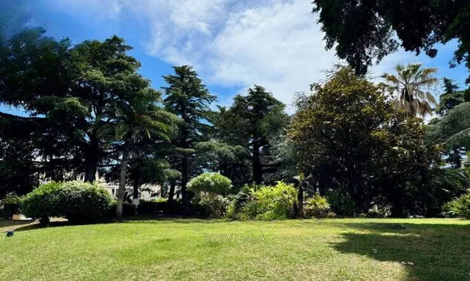 Недвижимость Villa Cannes Croix des Gardes: 12