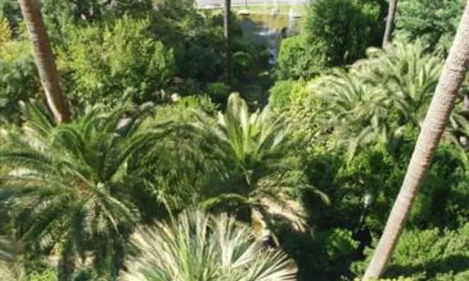 Недвижимость Villa Cannes: 9