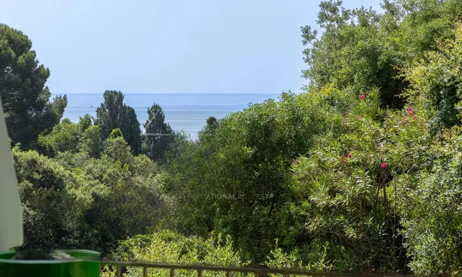 Недвижимость Villa Cannes Californie: 1