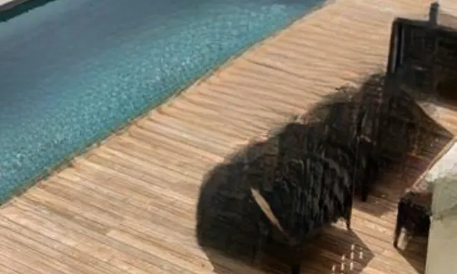 Недвижимость Villa Croix des Gardes: 6