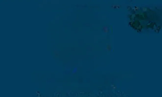 Недвижимость Villa Cannes Croix des Gardes: 5