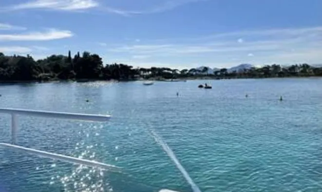 Недвижимость Villa Cannes Carnot: 14