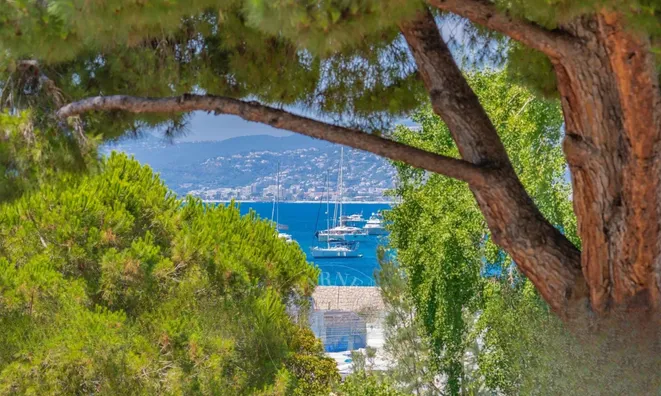 Недвижимость Villa Pointe Croisette: 12