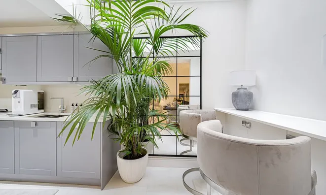 Недвижимость Redcliffe Square, Chelsea: 13