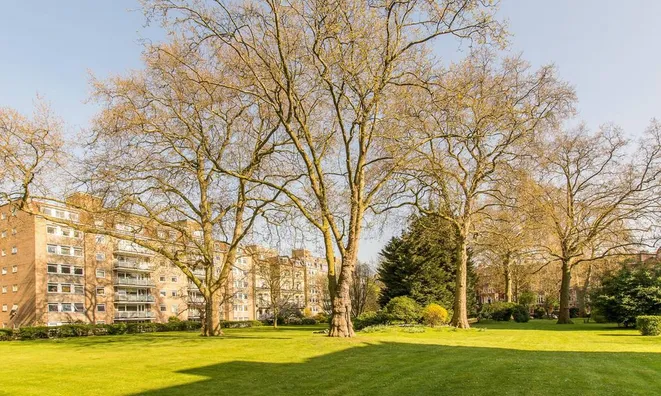 Недвижимость Elm Park Gardens, Chelsea: 6